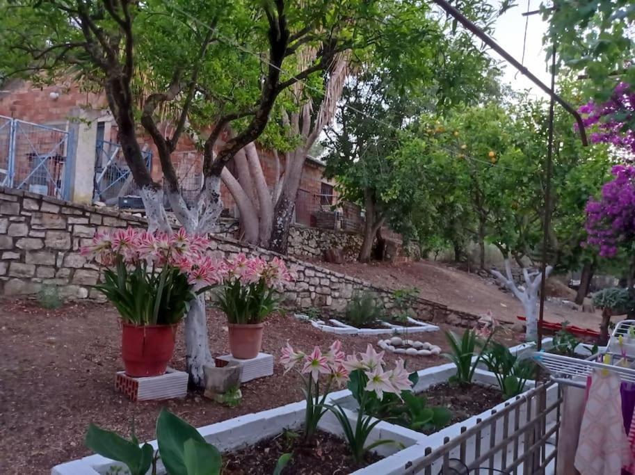 Villa Lidi Stavros  المظهر الخارجي الصورة