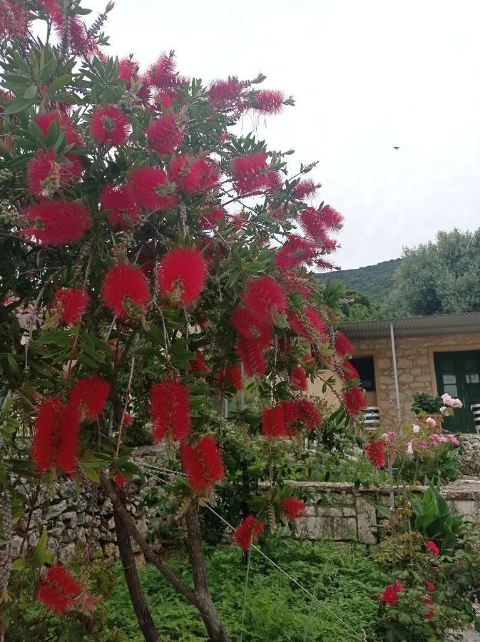 Villa Lidi Stavros  المظهر الخارجي الصورة