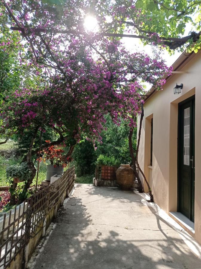 Villa Lidi Stavros  المظهر الخارجي الصورة