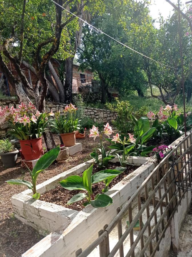 Villa Lidi Stavros  المظهر الخارجي الصورة